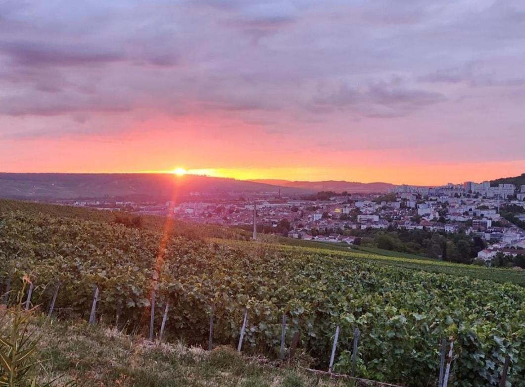 Dans Les Vignes D'Epernay Villa Ngoại thất bức ảnh